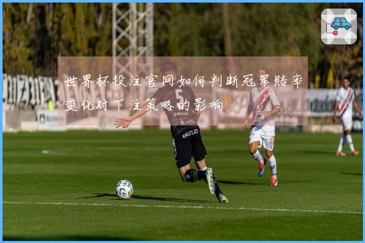 世界杯投注官网如何判断冠军赔率变化对下注策略的影响