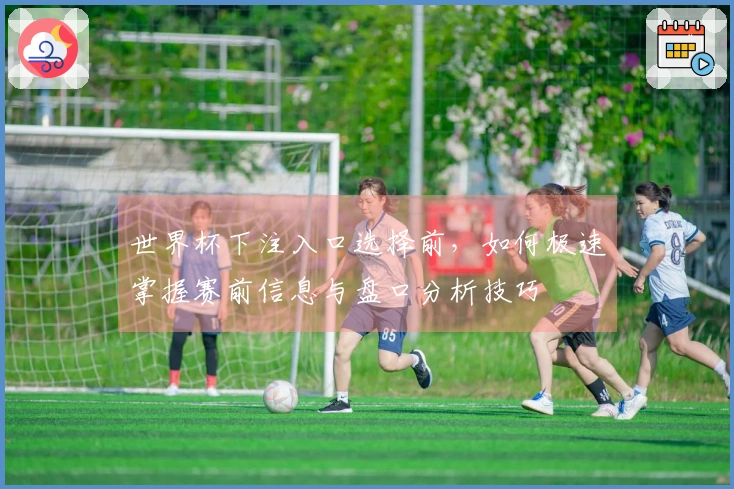 世界杯下注入口选择前，如何极速掌握赛前信息与盘口分析技巧