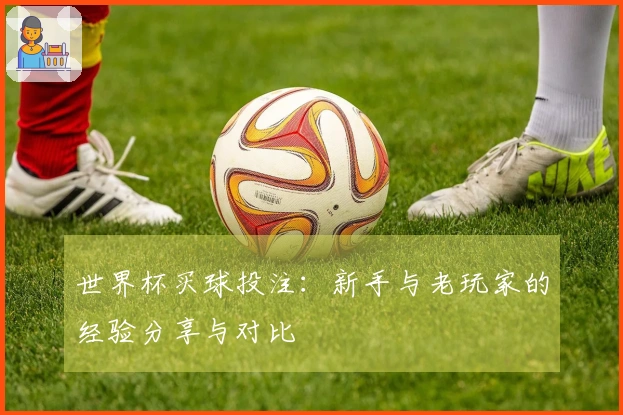 世界杯买球投注：新手与老玩家的经验分享与对比